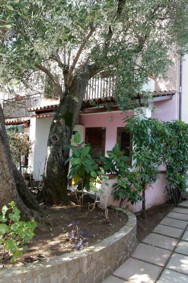 Hotel Santaclara Camerota Εξωτερικό φωτογραφία